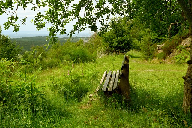 无论是顶住 无论是顶住