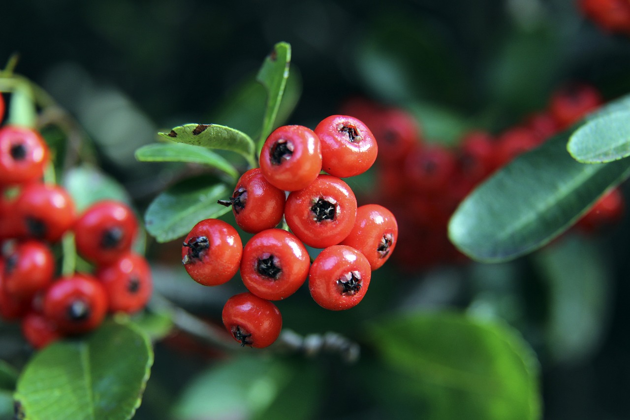 位状态明显 位状态明显