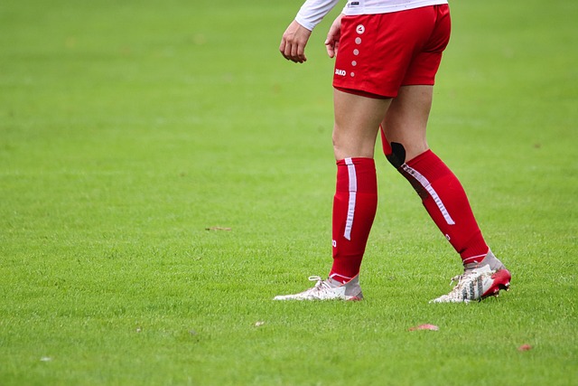 之间的默契 之间的默契