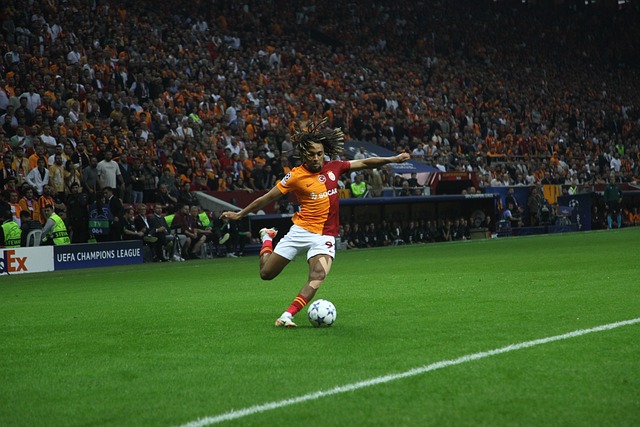 利不仅仅是 利不仅仅是