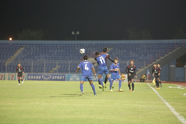 哪些看点 哪些看点