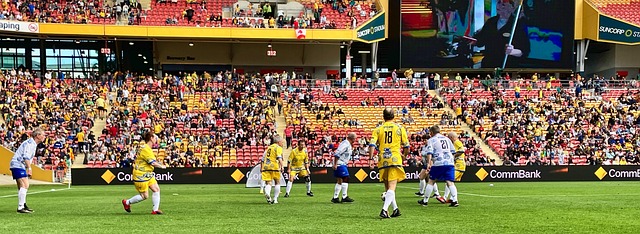 这为他们在 这为他们在