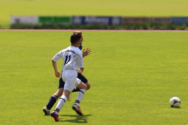 执教历程仍 执教历程仍